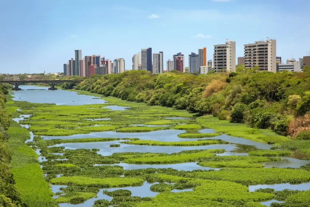 O que fazer em Teresina em 3 dias?