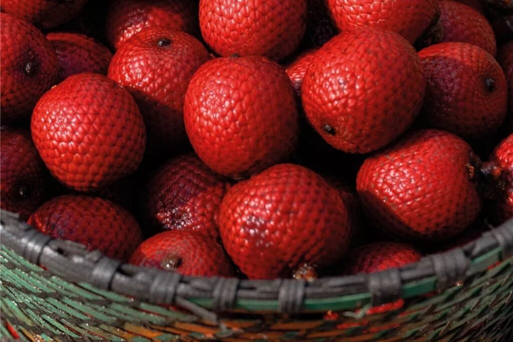 pratos típicos de Teresina